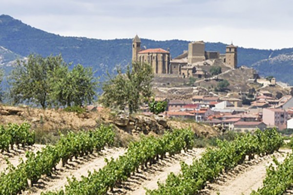 Taste Vacations Spain Food Tour